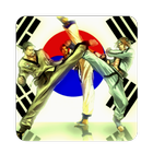 taekwondo wtf-icoon