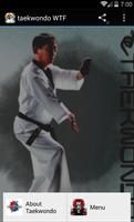 taekwondo wtf постер