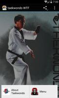 taekwondo wtf-poster