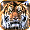 Papel pintado de tigre APK