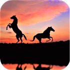 Horses Wallpaper icon