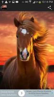 Horses Wallpaper ภาพหน้าจอ 3