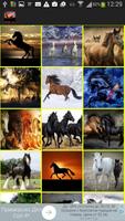Horses Wallpaper poster