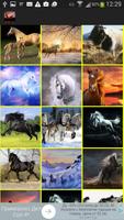 Horses Wallpaper ภาพหน้าจอ 1