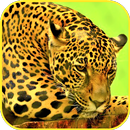 Wild Cats Wallpaper-APK