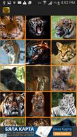 Papel de parede de gatos selvagens imagem de tela 1