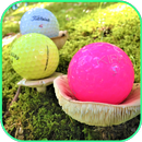 Golf Wallpaper APK
