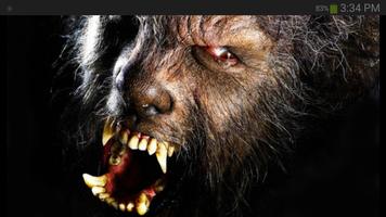 Werewolf Wallpaper Affiche
