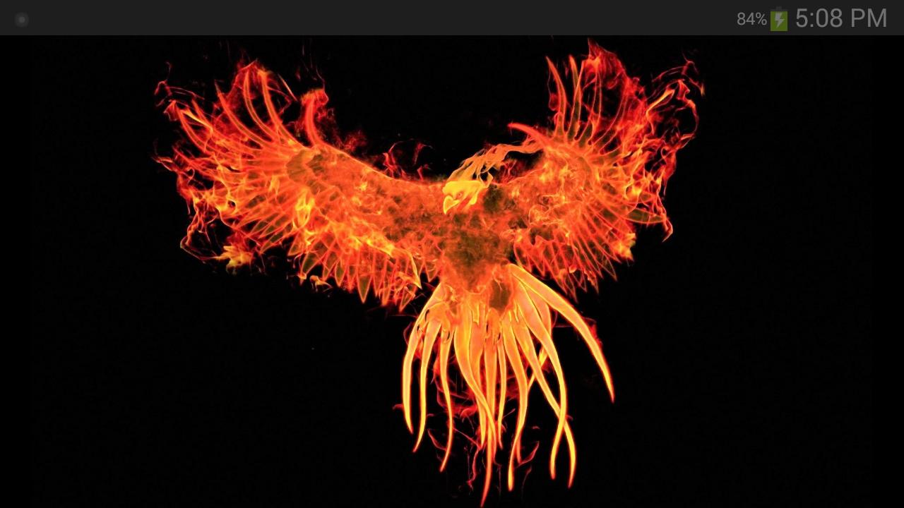 Phoenix Wallpapers APK for Android Download Phoenix Wallpapers APK for Android Download