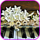APK Musical Instrument Wallpaper