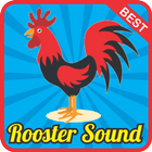 Rooster Sound Effect mp3 ikona