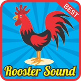 Rooster Sound Effect mp3 icône