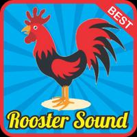 Rooster Sound Effect mp3 โปสเตอร์