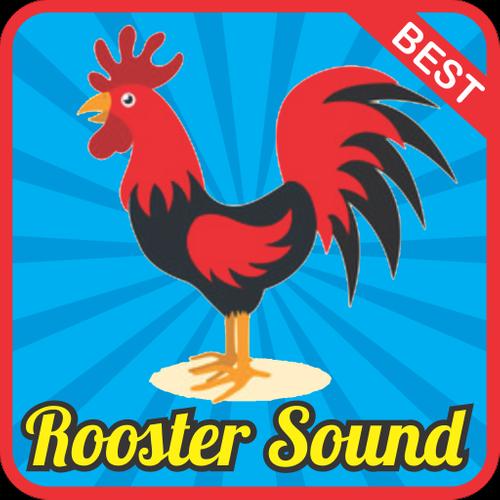 Rooster Sound Effect mp3 for Android - APK Download