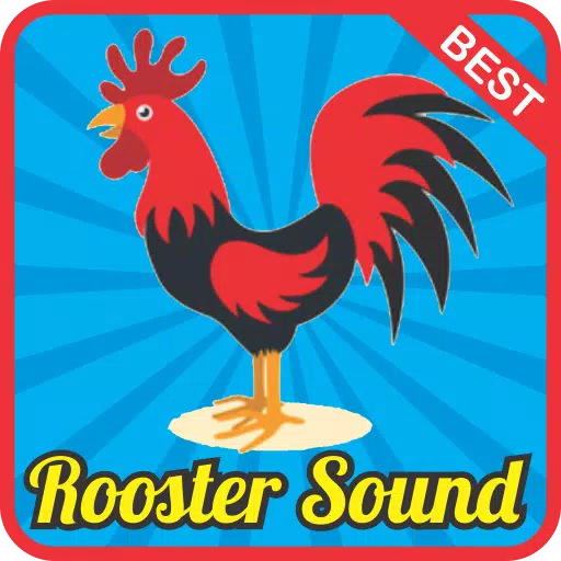 Rooster Sound Effect mp3 APK for Android Download