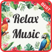Relaxing Instrumental Music mp3