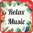 Relaxing Instrumental Music mp3 icône