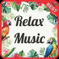 Relaxing Instrumental Music mp3 Affiche
