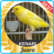 Suara Kenari Gacor mp3