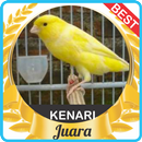 Suara Kenari Gacor mp3 APK