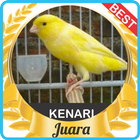 Suara Kenari Gacor mp3 biểu tượng