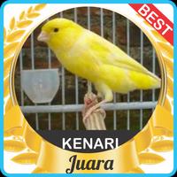 Suara Kenari Gacor mp3 bài đăng