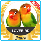 Suara Lovebird Gacor mp3 biểu tượng