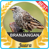 Suara Branjangan Gacor mp3 আইকন