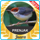 Suara Prenjak Gacor mp3 APK