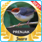 Suara Prenjak Gacor mp3 icon