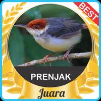 Suara Prenjak Gacor mp3 screenshot 1