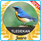 Suara Tledekan Sulingan mp3 icon
