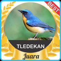 Suara Tledekan Sulingan mp3 poster
