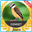 Suara Cendet Juara mp3 APK