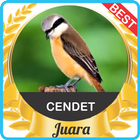 Suara Cendet Juara mp3 biểu tượng