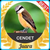 Suara Cendet Juara mp3 bài đăng