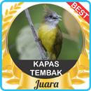 Suara Kapas Tembak Juara mp3 APK