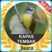 Suara Kapas Tembak Juara mp3 poster