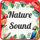 Nature Sound Effect mp3 APK