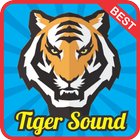 Tiger Sound Effect mp3 ikona