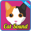 Cat Sound Effect mp3 APK