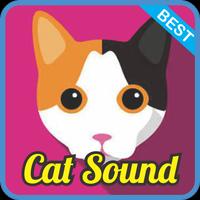 Cat Sound Effect mp3 Poster