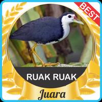 Suara Ruak Ruak Pikat mp3 capture d'écran 3