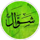 Ibadah Syawal APK