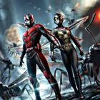 Best Ant Man and The Wasp Wallpapers icône