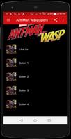 Best Ant Man and The Wasp Wallpapers Affiche