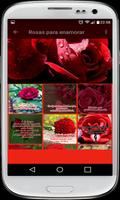 Hermosas Rosas Rojas تصوير الشاشة 2