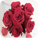 Rosas con Amor APK