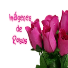 Imágenes de Rosas Hermosas ikon