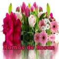 HERMOSAS IMÁGENES DE RAMOS